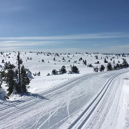 Awesome In W/ 3 Bedrooms * Sjusjoen